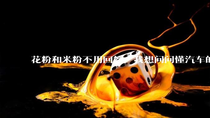 花粉和米粉不用回答，我想问问懂汽车的大哥，小米汽车到底怎么样啊？